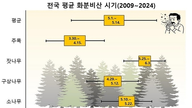 "송홧가루 빨리 날린다"…국립수목원, 알레르기 주의 당부
