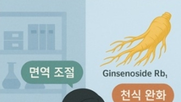 한의학硏, 인삼의 천식 증상 완화 효과 확인