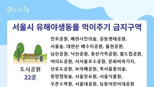서울서 비둘기 먹이 줬다간 과태료…다른 지역·동물은 괜찮나