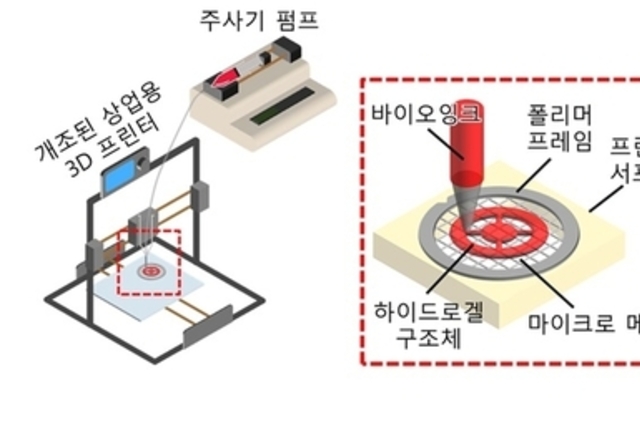 하이드로겔 이용해 인간의 뇌 닮은 신경세포 플랫폼 개발