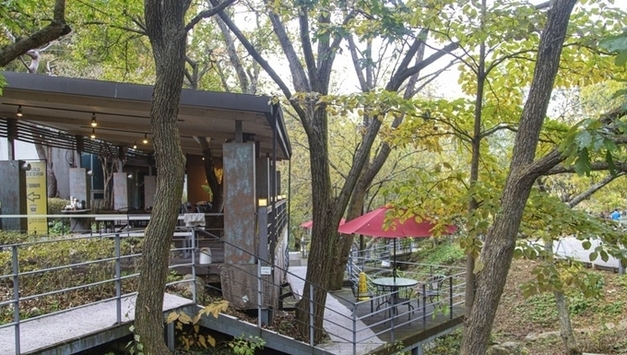 가을 숲에서 하루를…경기관광공사 추천 '아름다운 숲길' 6곳