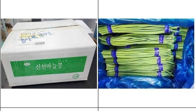 수입 마늘종·냉동 시금치 회수…잔류농약 기준 초과