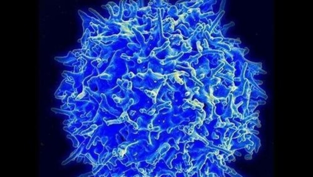 글로벌펀드, 한국에 감염병 퇴치 2억불 요청…"국격·실리 기회"