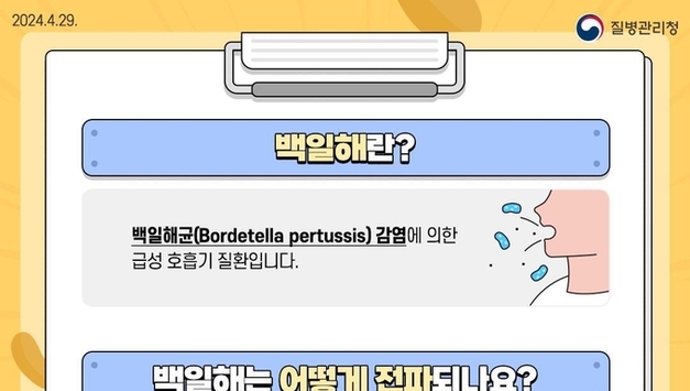 日연구소 "백일해 환자 80에 항생제 내성균"