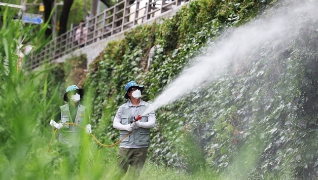 국내 말라리아 환자 올해 15 감소할 듯…"600명 안팎 전망"