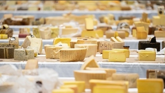 "고지방 치즈·크림 섭취, 치매 위험 낮춰…연관성 확인"