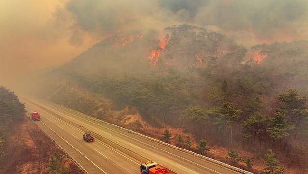 "기후위기에 재난현장도 달라져…벌집제거 줄고 온열질환자↑"