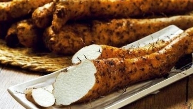 최만순의 약이 되는 K-푸드…마, 뿌리에서 올린 겨울 밥상의 힘