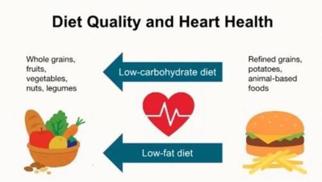 "관상동맥심장질환 예방엔 양질의 '저탄·저지' 식단이 중요"