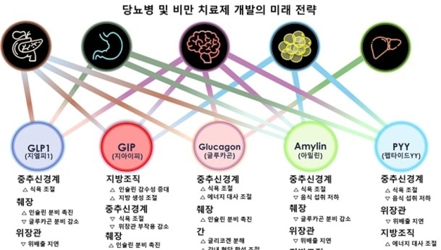 "차세대 비만약 연구 활발…'근감소증' 등 부작용 경계해야"