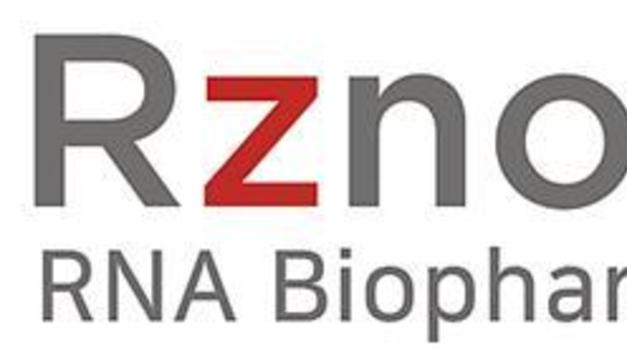 알지노믹스·글루진테라퓨틱스, AAV 기반 RNA 유전자치료제 개발