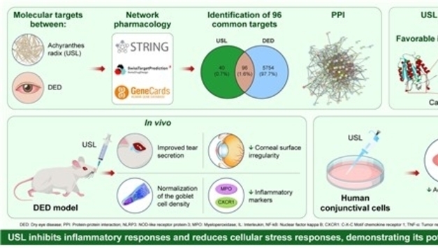 전통 약용식물 '우슬' 안구건조증 개선 효과 규명