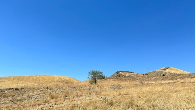 "가뭄이 토양 미생물의 항생제 내성 증가시킬 수 있다"