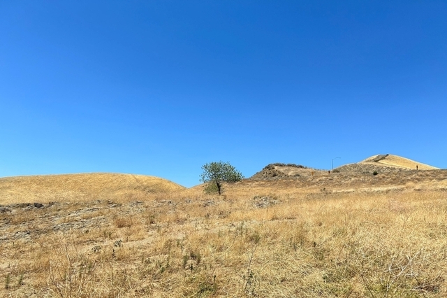 "가뭄이 토양 미생물의 항생제 내성 증가시킬 수 있다"