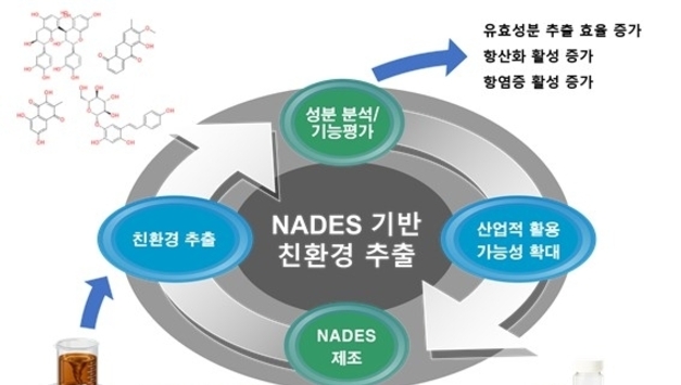한의학연, 하수오 유효성분 추출 효율 높일 친환경 공정 개발
