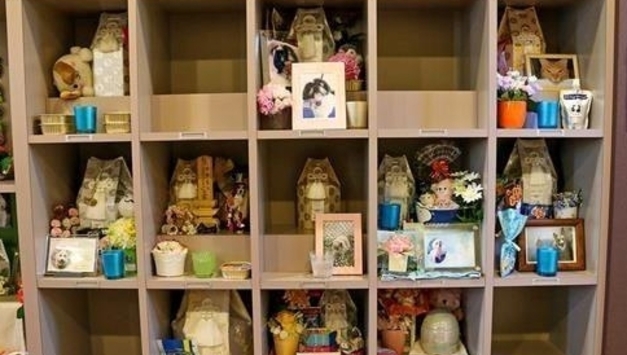 사망한 반려동물, 야산에 묻는다?…합법적 사체 처리 방법은