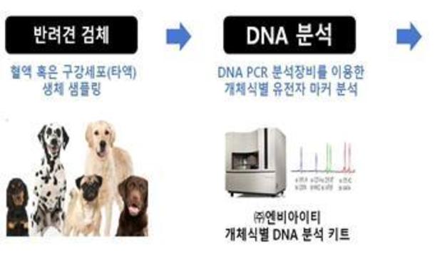 칩 없이 개 식별…유전자 등록 첫 실증특례
