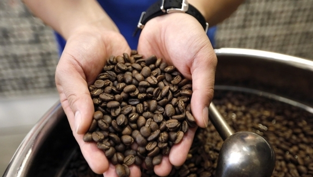 커피 가맹점 호황…술집은 늘었지만 매출 줄었다