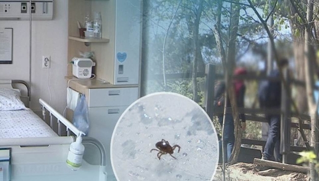 봄철 야외활동 참진드기 주의…전국 감시체계 가동 시작