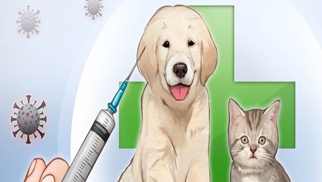 중동사태에 동물병원 주사기 수급난…진료 차질·비용 인상 우려