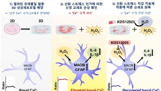 '뇌 속 신경염증 실시간 포착'…독성연, 플랫폼 개발