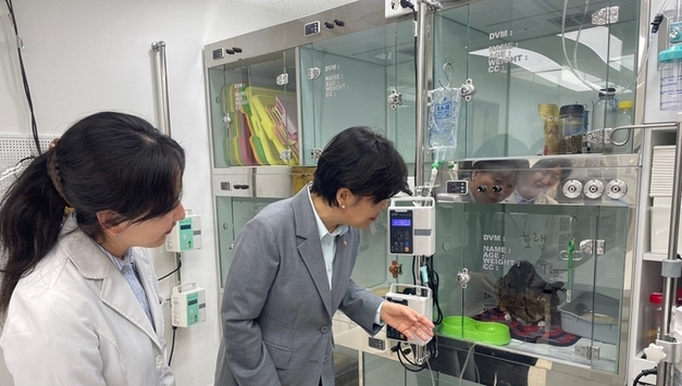 "동물병원진료비 정보공개 확대…의료비 부담 완화"