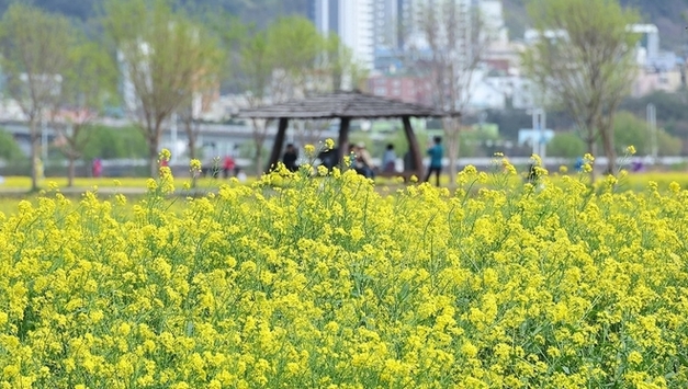 '따뜻한 봄인데 나만 우울한가' 병원 꼭 가야 하는 신호는
