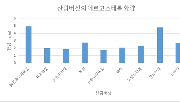 "산림버섯 속 에르고스테롤, 힘줄에 생기는 건염 예방에 효과적"