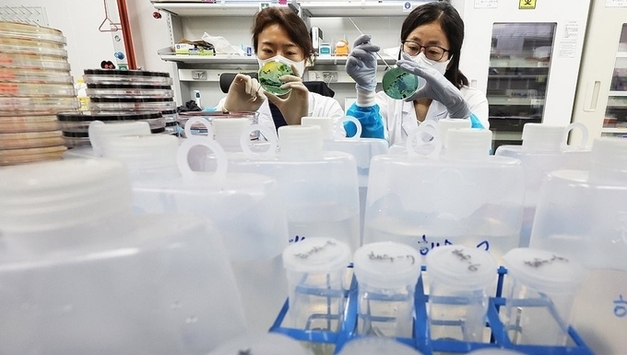 올해 첫 비브리오패혈증 발생…"해산물 섭취 주의하세요"