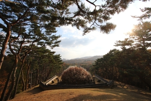 구리 동구릉 내 태조 무덤인 건원릉 봉분 뒤에서 바라본 모습.