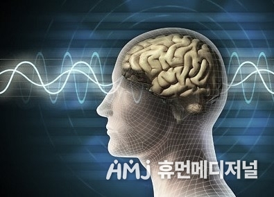 네이버 이미지 자료사진