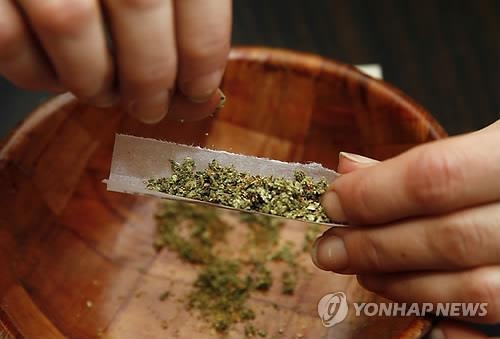 마리화나<br>
(AP=연합뉴스 자료사진)