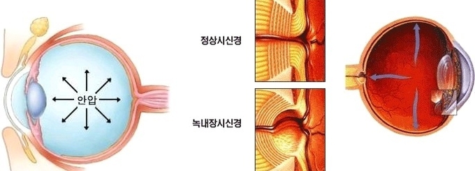 네이버 이미지 캡처