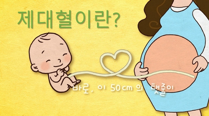 네이버 이미지 캡쳐