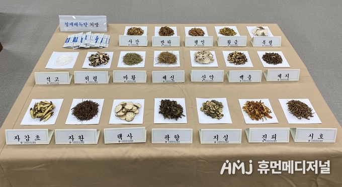 코로나19 치료에 사용되는 한약처방.(대한한의사협회 제공)