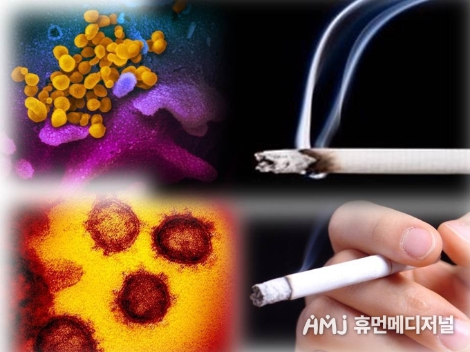 (사진 합성)