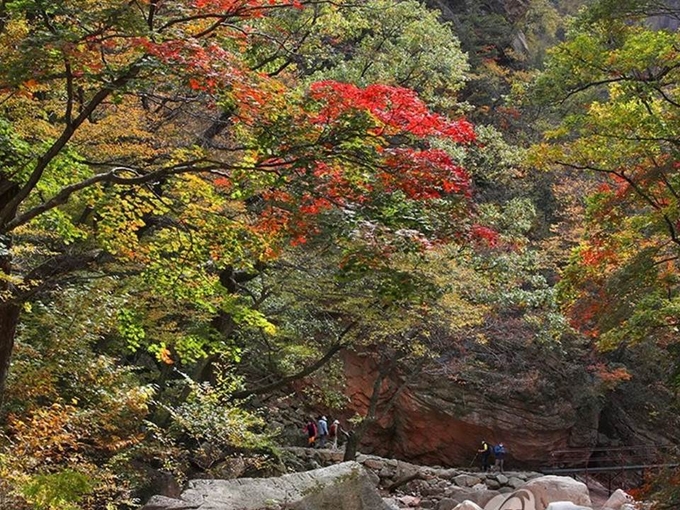 가을 단풍길, 주전골 길