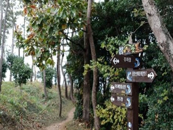 숲길 트레킹 코스