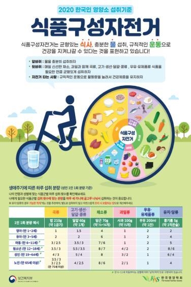 식품구성자전거<br>
보건복지부 제공. 재판매 및 DB 금지