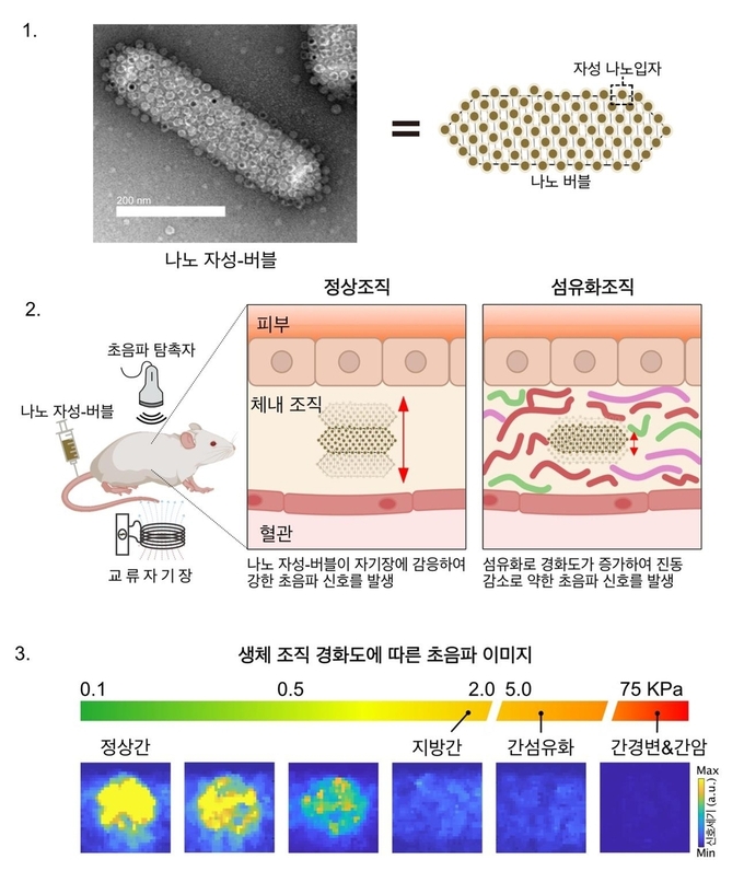 <strong>나노 자성-버블(MGV)</strong><br>
[기초과학연구원 제공