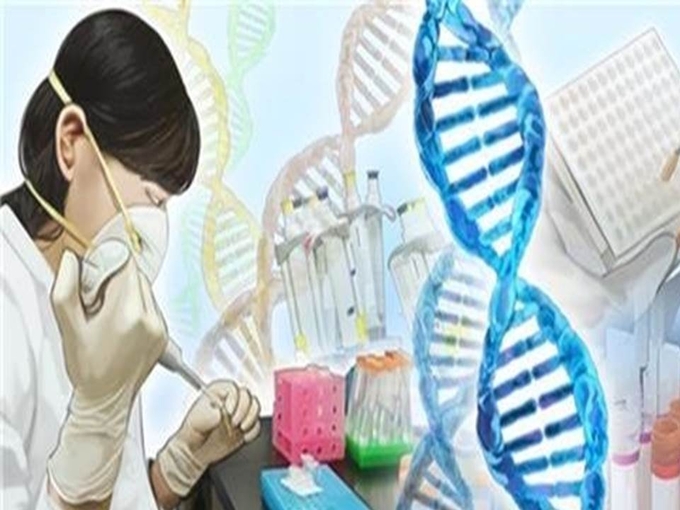 DNA 연구 