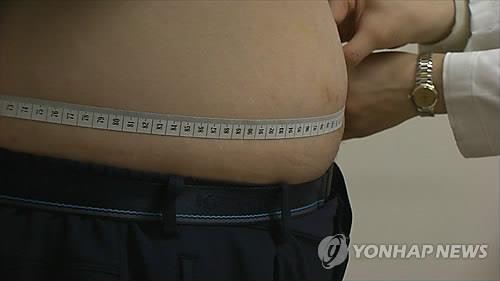 <strong>고도 비만</strong><br>
[연합뉴스 자료사진.